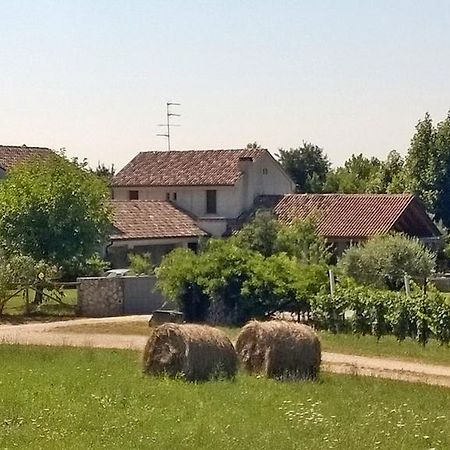 Bed and Breakfast Il Giuggiolo Conegliano Exteriér fotografie