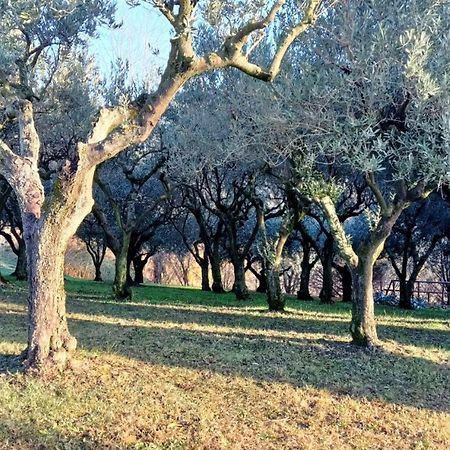 Bed and Breakfast Il Giuggiolo Conegliano Exteriér fotografie