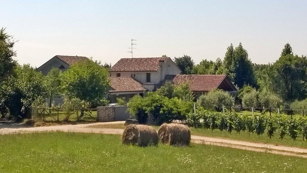 Bed and Breakfast Il Giuggiolo Conegliano Exteriér fotografie