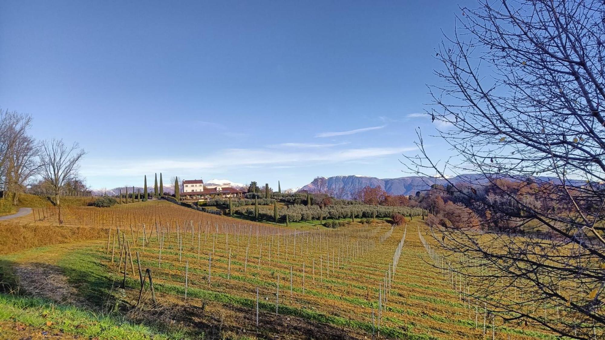 Bed and Breakfast Il Giuggiolo Conegliano Exteriér fotografie