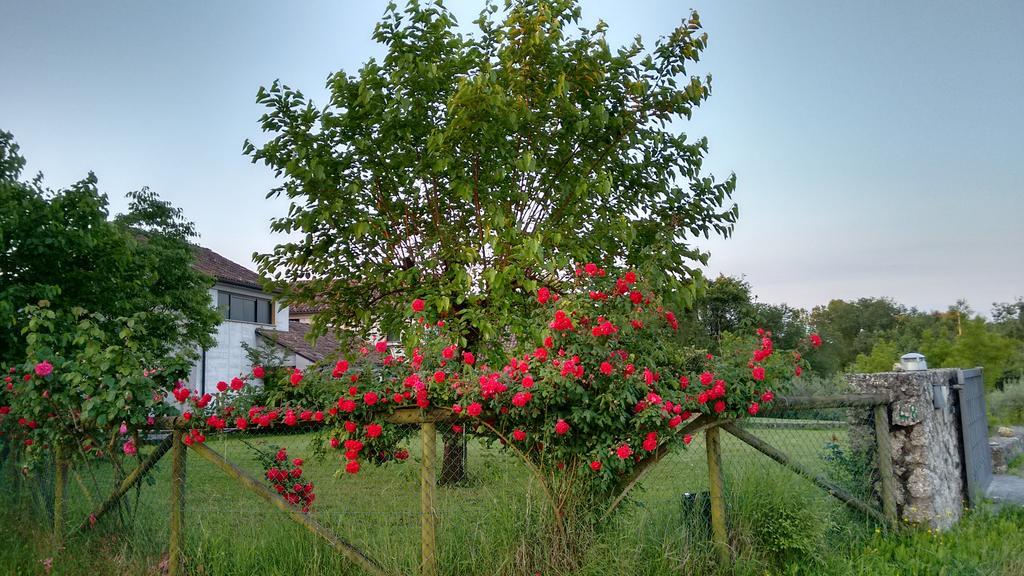 Bed and Breakfast Il Giuggiolo Conegliano Exteriér fotografie