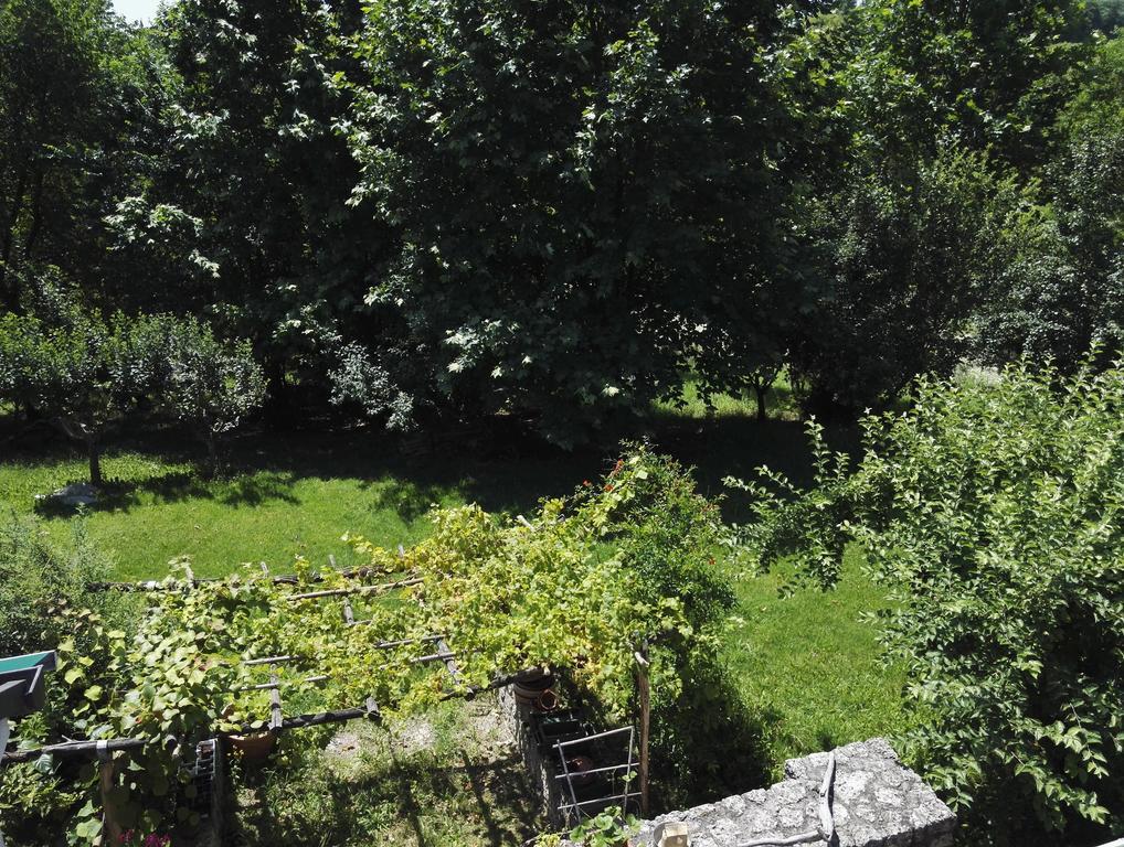 Bed and Breakfast Il Giuggiolo Conegliano Exteriér fotografie