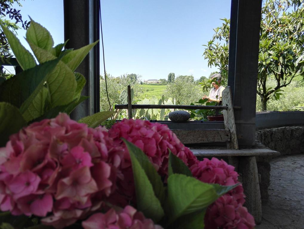 Bed and Breakfast Il Giuggiolo Conegliano Exteriér fotografie