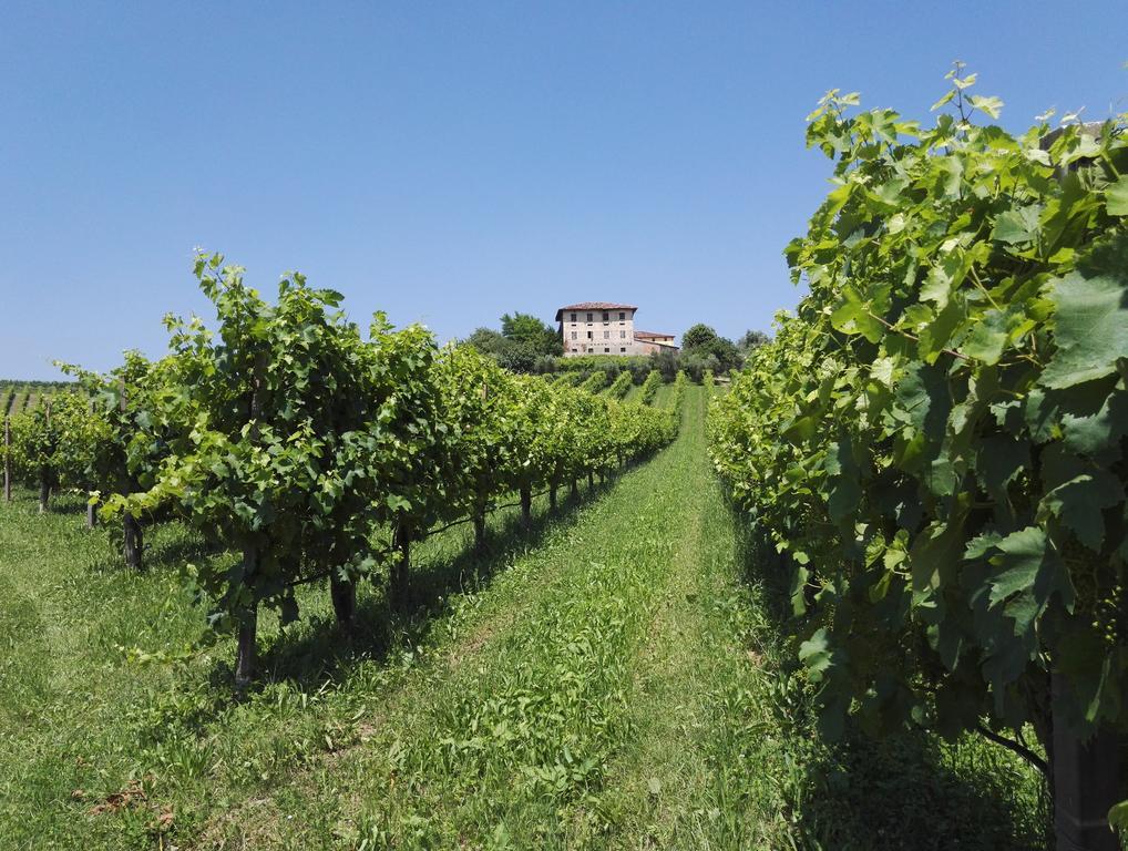 Bed and Breakfast Il Giuggiolo Conegliano Exteriér fotografie