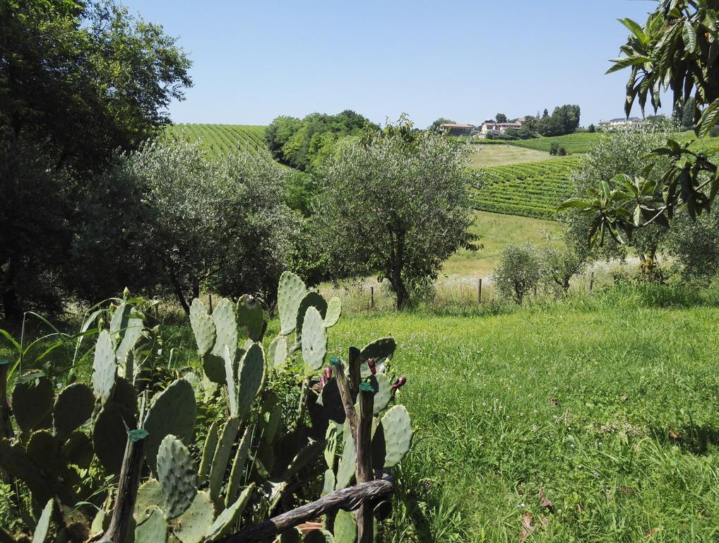 Bed and Breakfast Il Giuggiolo Conegliano Exteriér fotografie